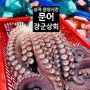 삼척 중앙시장 문어 삼척장군문어 후기