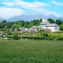 의료법인  주은복지의료재단 이미지