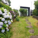 느리게 가는 구름 이미지