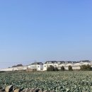 지에스(GS)25 고척마을마당점 | 제주 애월 수영장 에어비앤비 '7번방의 선물' 비수기 10만원 이하 독채 펜션 후기 ⋰˚☆