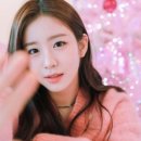 (주)니이즈 이미지