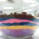 성지여자중학교 이미지