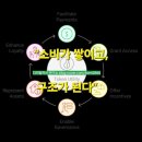 코즈볼랩 이미지