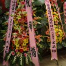 이승룡 카카오 검색결과