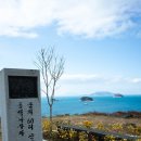 산양 궁항마을 티스토리