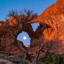 Arches National Park in Utah 😍 이미지