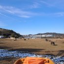 서부흑염소 | 와일드필드커피 - 정읍 카우보이걸 (전주 근교 이색 카페) / 솔직후기