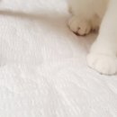 별미돌솥밥 이미지