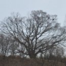 창정1구 이미지