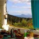 한세계농장 이미지