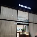 디이즈포독 이미지