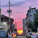 손큰대구막창 이미지