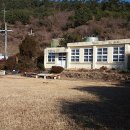 자봉도 Daum카페