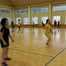 술샘체육관 이미지