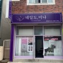 네일도미나 이미지