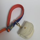 우진소프트 | 강아지 산책 필수템 스펠(SPEL) 비비팝 베이직 목줄 &amp; 리쉬 사용 후기