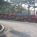 대전외국어고등학교 네이버블로그