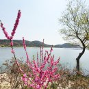 풍경이있는전원주택공인중개사사무소 이미지