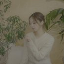 수수(susoo)