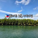 손구식농장 | 필리핀 보홀 4박6일 5편(육상투어,초콜릿힐,나비농장,안경원숭이보호구역,멘메이드포레스트,로복강...