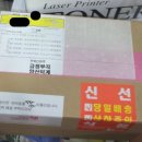 아이라이크펫 이미지