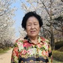 간증: 1645. 교회신문 ＞ 제 1329호 죽음의 문턱에서 다시 살리신 하나님 이미지