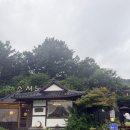 다솜 - 안양시 만안구 안양동 | 공주 만두샤브전골 다솜차반 소서노 내돈내산 후기