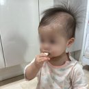 가정보육 어린이 과일꾸러미 후기｜2024년에 직접 받아보니
