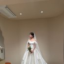 (주)더펫플레이스 | 마로브 브라이덜 촬영드레스 가봉 후기