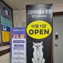 캣츠앤몬스터 이미지