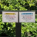 서종별곡 | [양평] 계곡 앞 프라이빗한 감성 독채 펜션 서종별곡