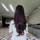 카이로스프로헤어