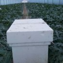 수정농장 이원 이미지