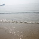 천리포항 이미지