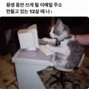 대부분 사람들의 메일 주소가 유치한 이유 이미지