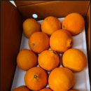 월광농장 이미지