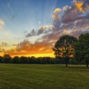 고려수지침 복현지회 이미지