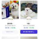 요세라코리아 네이버블로그