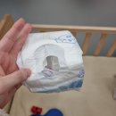 명지애견 | 부산 애견카페 휴일도 부산점 후기, 명지에서 강아지 찜질방 제대로 즐기고 왔어요