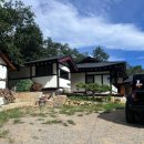 스테이단감 이미지