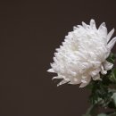 광산-비아-광산-34 이미지