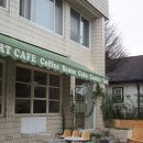 디어터틀(dear turtle) 이미지