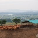 한국개량컨설팅 이미지