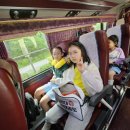 경희대무궁화태권도장 이미지