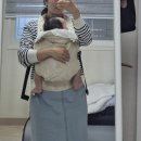 3개월 아기 아티포페 아기띠 자이가이스트 아거스 오트 구매후기