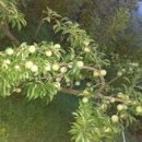 우직농장 이미지