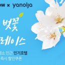 벚꽃펜션
