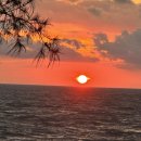 수노을주유소 이미지