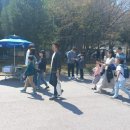 만정초등학교 | 초4입니다. 수학경시대회 응시해야 할까요?