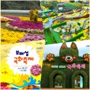 산방마을회관 | 국화향기여행 진도 보배섬국화축제 (10.27 ~ 11.30)